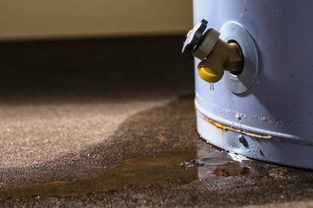 Best Water damage restoration near me  in Creola, AL