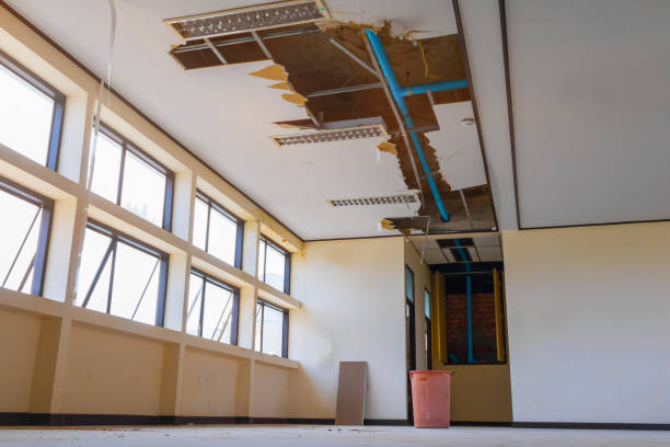 Best Flooded house restoration  in Creola, AL
