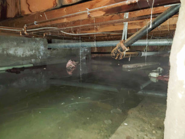 24/7 water damage repair in AL