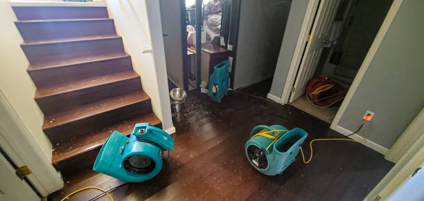 Best Flood damage cleanup  in Creola, AL
