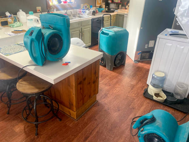 Best Water damage restoration near me  in Creola, AL