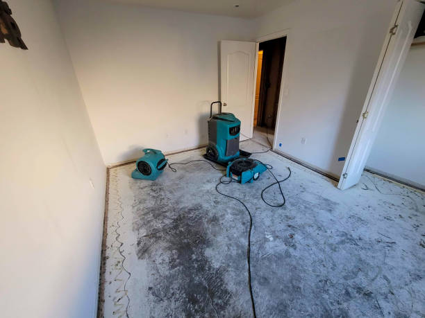 Best Commercial water damage restoration  in Creola, AL