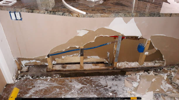 Best 24/7 water damage repair  in Creola, AL
