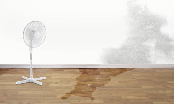 Best Ceiling water damage repair  in Creola, AL