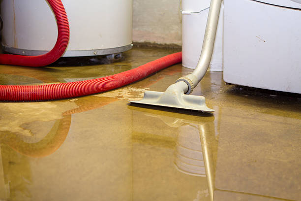 Best Commercial water damage restoration  in Creola, AL