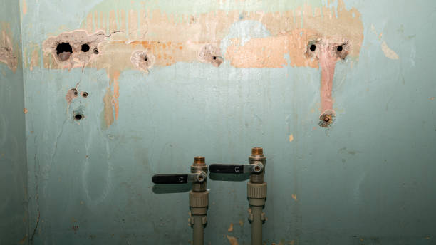 Best Fire Damage Restoration  in Creola, AL