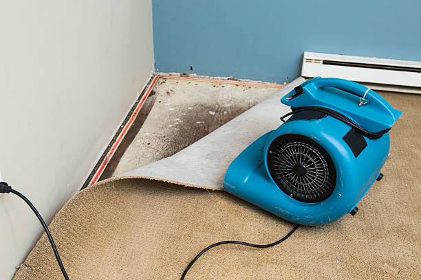 Best Local water damage restoration  in Creola, AL