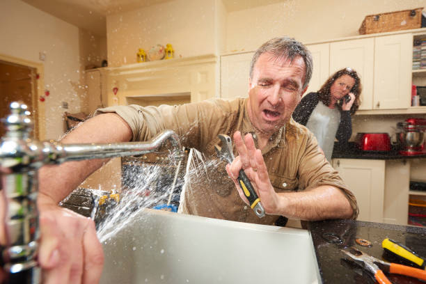 Best Water damage restoration mold remediation  in Creola, AL